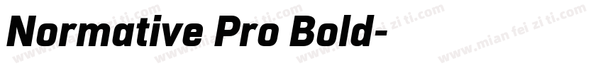 Normative Pro Bold字体转换